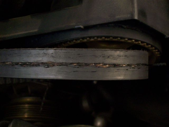 [Bild: 100_2117.jpg]
